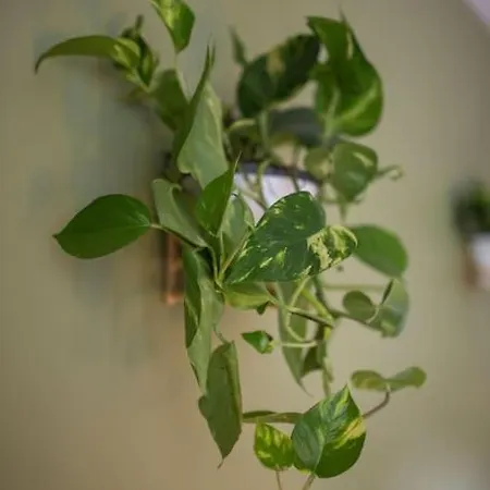 Tyylikkaeaesti Retroa Ja Modernia Hervanta Atomikatu 5 Apartment *